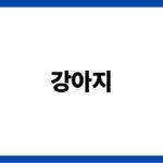 전체 글(작성된 소주제의 특징)의 핵심 디스크립션을 60자 이내로 다음 규칙을 따라 ***숫자,강아지를 무조건 포함하고, 특수문자 없이 명사형***으로 작성.===1.숫자와 리스트 사용 예시: 10가지 성공적인 제목 작성법, 당신이 몰랐던 7가지 클릭 유도 비법 효과: 숫자는 명확하고 구체적인 정보를 전달하며, 독자에게 내용을 빠르게 파악할 수 있게 합니다. //3. 호기심을 자극하는 표현 사용 예시: 모두가 숨겨온 비밀, 당신이 절대 놓치면 안 되는 정보 효과: 제목에서 모든 정보를 주지 않고, 독자가 클릭해서 더 알고 싶도록 만듭니다. //4. 긴급성과 시급성 강조 예시: 지금 바로 확인해야 할 5가지 사실, 한정된 시간만 제공되는 특별 혜택 효과: 독자에게 지금 당장 클릭해야 할 필요성을 느끼게 합니다.// 5. 강력한 형용사와 동사 사용 예시: 놀라운 변화, 믿을 수 없는 결과, 압도적인 성과 효과: 감정을 자극하여 제목에 힘을 실어줍니다.// 6. 독자 맞춤형 제목 예시: 초보자를 위한 간단한 SEO 가이드, 마케터가 반드시 알아야 할 5가지 트렌드 효과: 독자의 상황에 맞춘 제목은 더 큰 공감을 이끌어낼 수 있습니다. //7. 비교와 대조 활용 예시: 성공한 사람과 실패한 사람의 차이, 이 방법이 다른 방법보다 10배 더 효과적인 이유 효과: 독자에게 두 가지 선택지를 제공하고, 그 중 하나를 클릭하도록 유도합니다. //8. 구체적이고 명확한 혜택 제시 예시: 한 달 만에 매출을 2배로 올리는 방법, 이 도구로 생산성을 3배 높이는 법 효과: 제목에서 얻을 수 있는 명확한 이익을 제시하면 클릭할 확률이 높아집니다. //9. 의외성 강조 예시: 당신이 절대 상상하지 못한 진실, 놀라운 결과를 가져온 간단한 방법 효과: 예상치 못한 정보를 제공할 것 같은 제목은 독자의 호기심을 자극합니다. //10. 간결하게 작성 예시: 바로 적용 가능한 마케팅 팁, 더 나은 결과를 위한 빠른 해결책 효과: 짧고 간결한 제목은 쉽게 읽히고, 전달력이 강해집니다.===